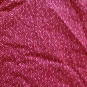 4 YRDS Sharon Evans Yenter Chelsa Gardens Fabric In The Beginning